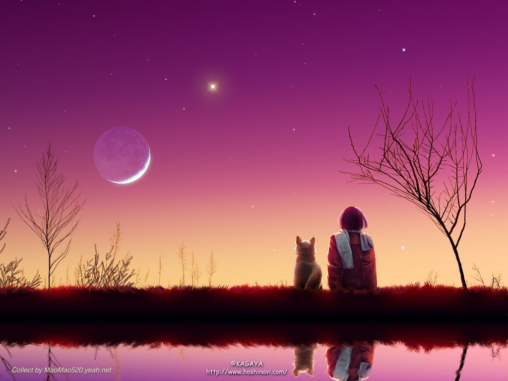 兮彦,,止步个人动态 - 兮彦,,止步直播间 - 美女视频聊天交友-六间房