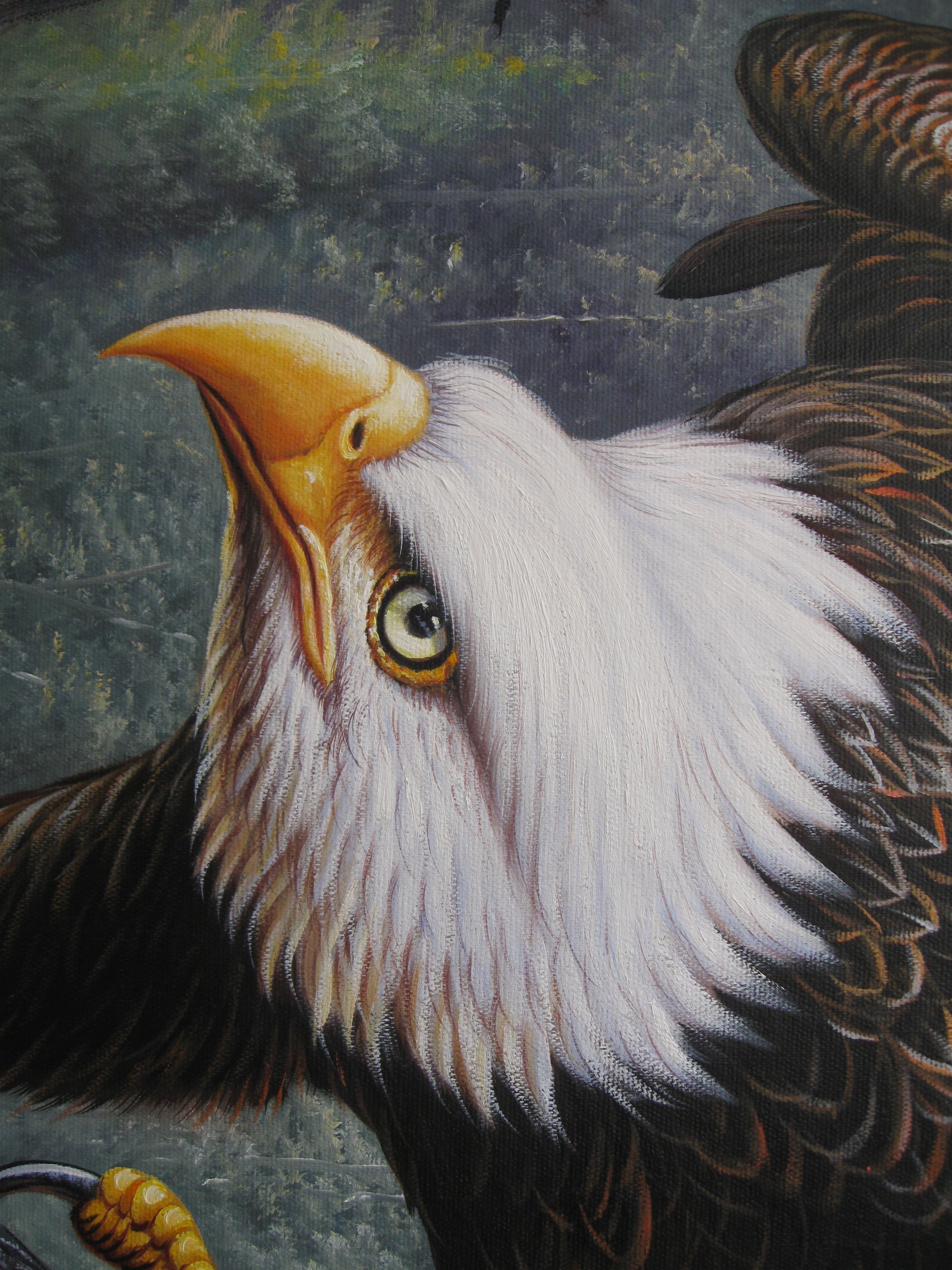 大雄鹰油画个人动态 - 大雄鹰油画直播间 - 美女视频聊天交友-六间房