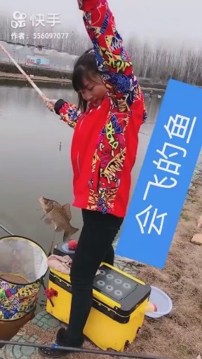 会飞的鱼