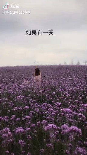 ^O^如果有一天我……