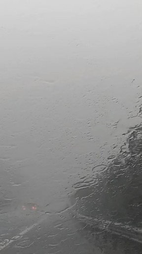 雨疏风骤，大家行车小心