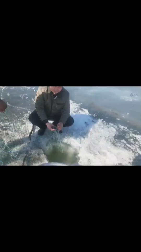 冰窟窿打鱼