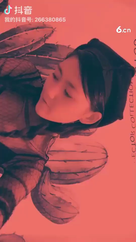 略略   没人宠