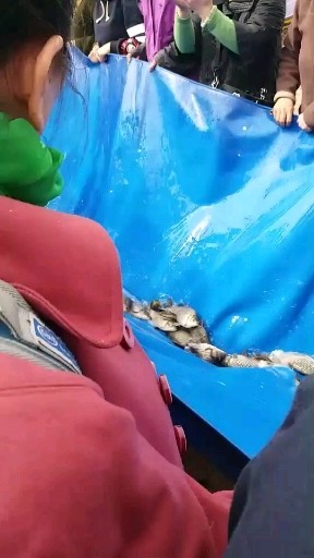 放生