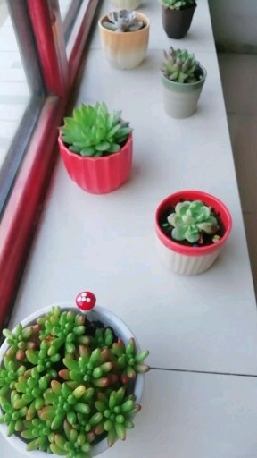 出来冒个泡⊙▽⊙