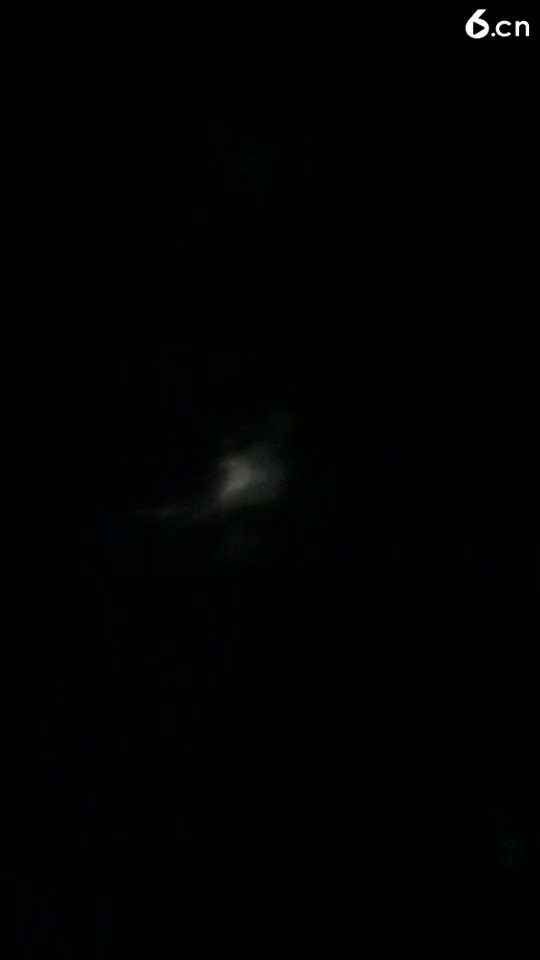 主插