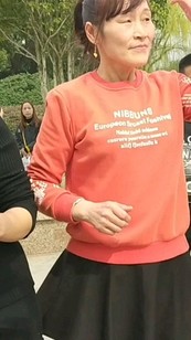 团体在上海市华新镇人民公园嗨摇