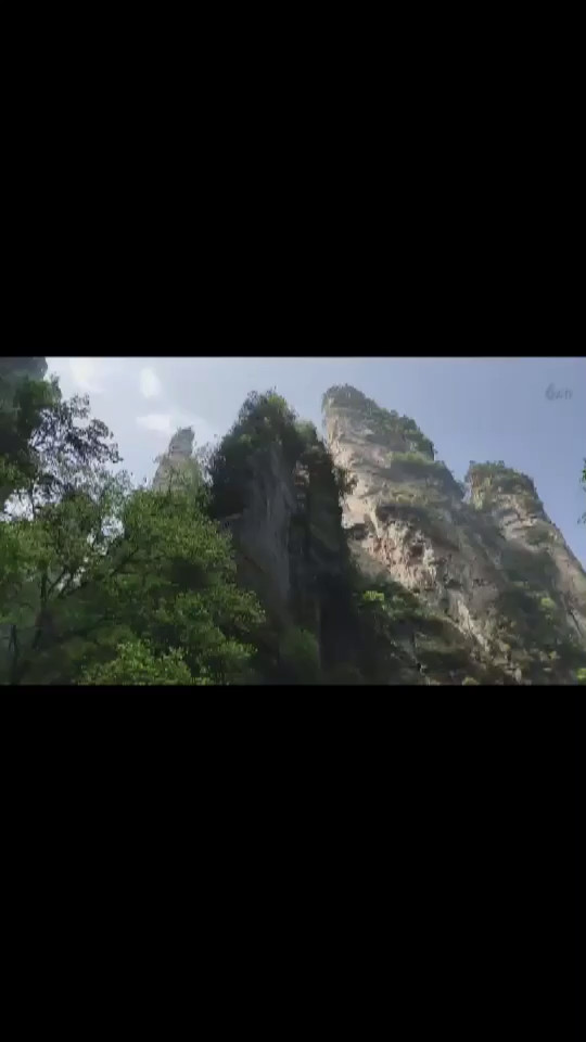 小江张家界直播