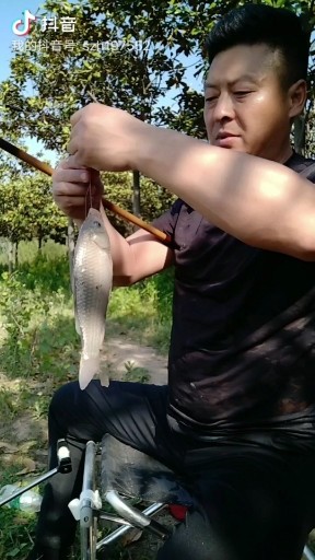 离开的都是路人