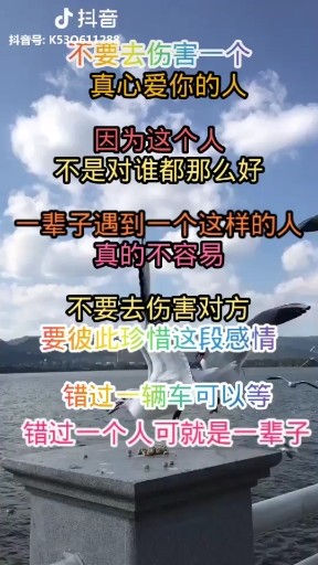 不要去伤害一个爱你在乎你的人~
