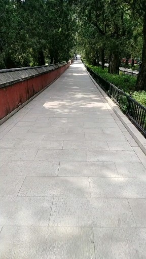 北京植物园 二十公里跑步 回