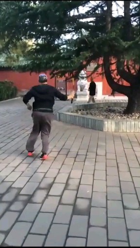 风采