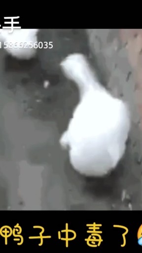 彻底失眠 早上见