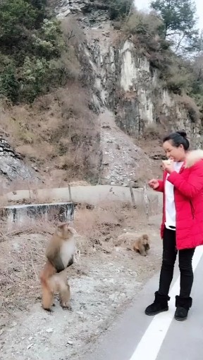 天边的巴拉格宗