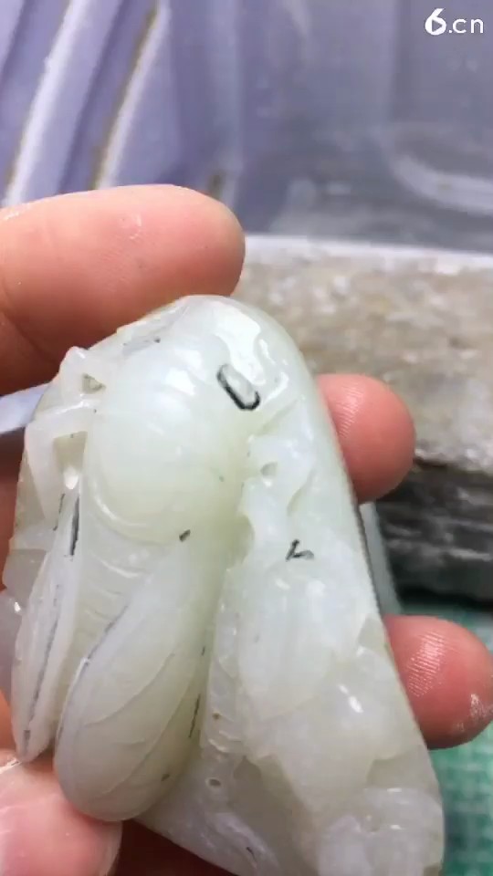 金蝉蜕壳