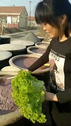 低盐虾酱。喜欢的宝宝关注我。