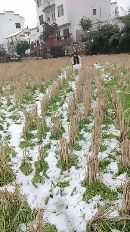 ☃️❄