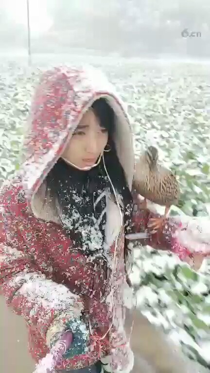 ❄❄❄❄❄