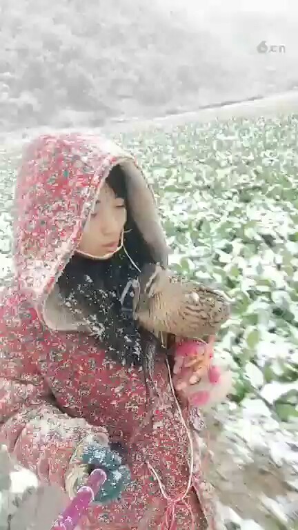 ❄❄❄❄❄❄
