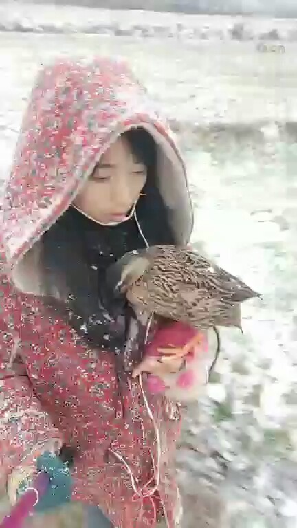 好美❄
