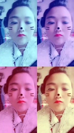 猫咪🐱