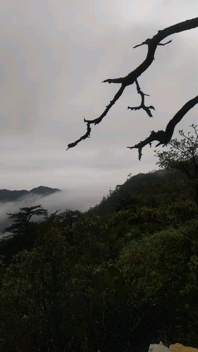 两千米海拔的风景