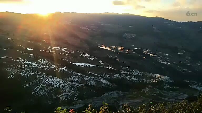 云阳梯田