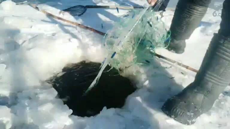 黑龙江冬季冰面上挂鱼快来看看吧