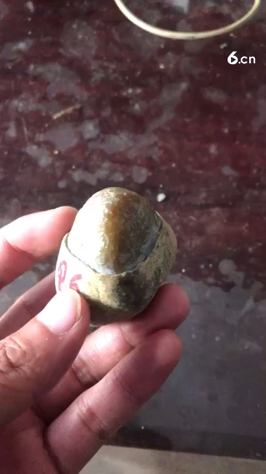 小黄翡