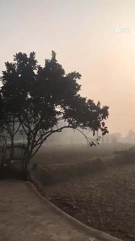 早晨