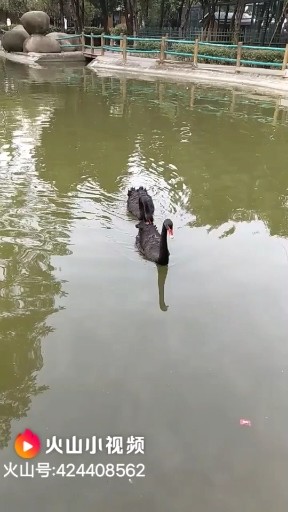 形影不离