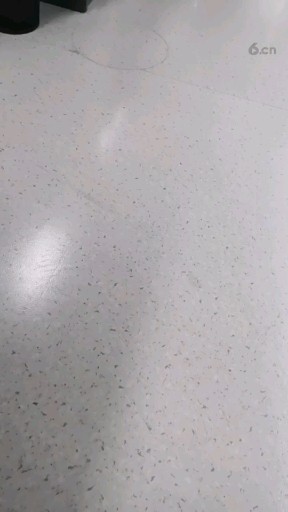 哈哈