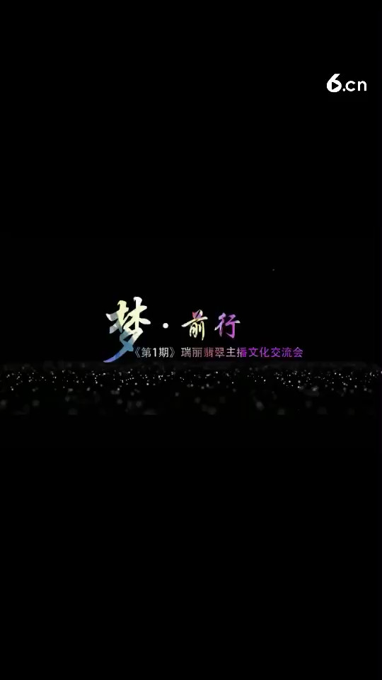 《第一期》瑞丽主播文化交流会