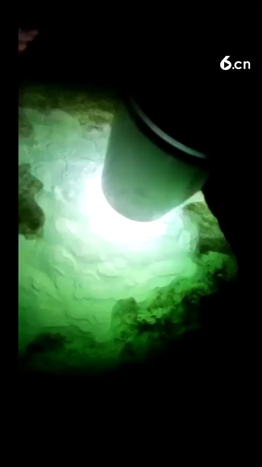 大六位数的冰晴