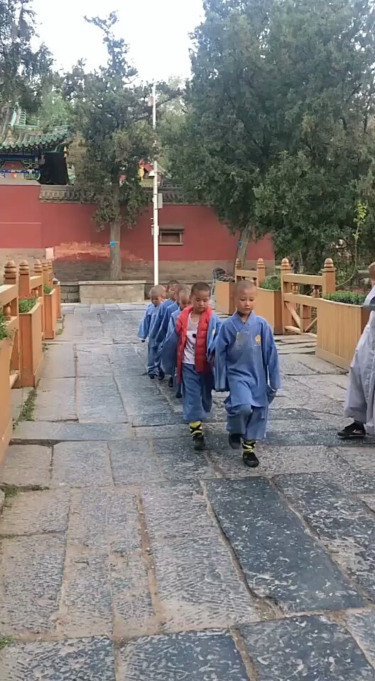可爱的童年