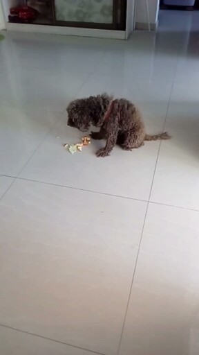 苹果🍎加白菜。