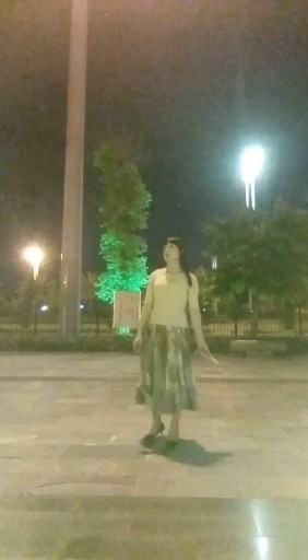 夜游揭阳楼