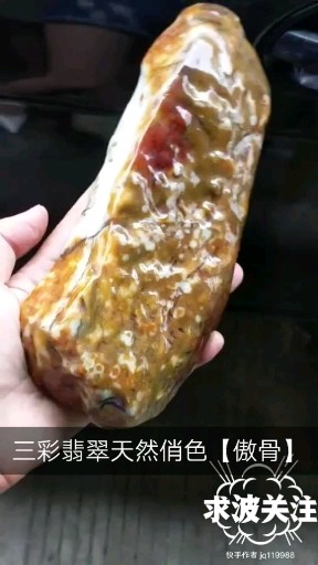 三彩翡翠，天然意境【傲骨】