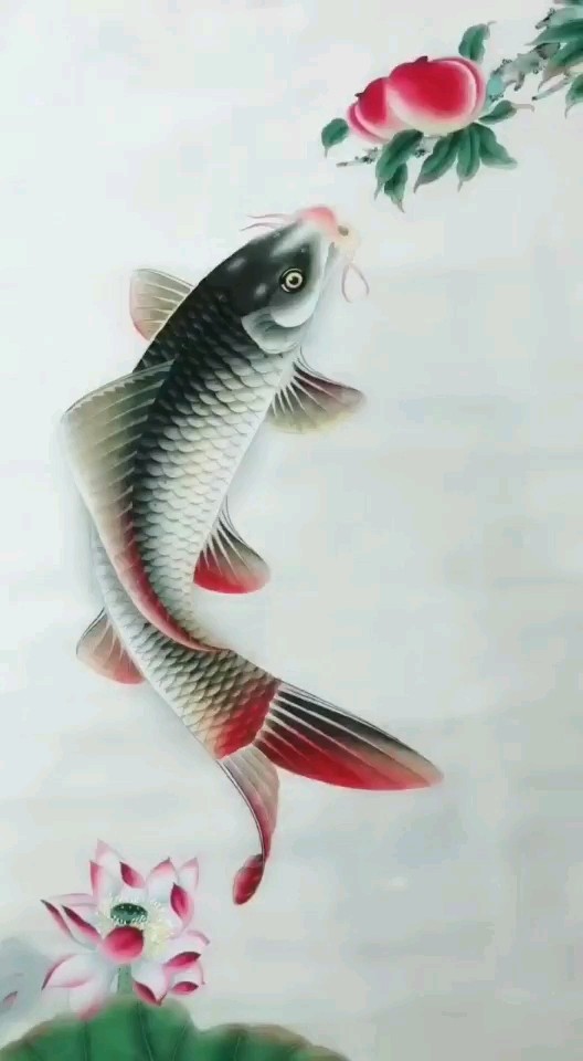 年年有余🔥🔥🔥