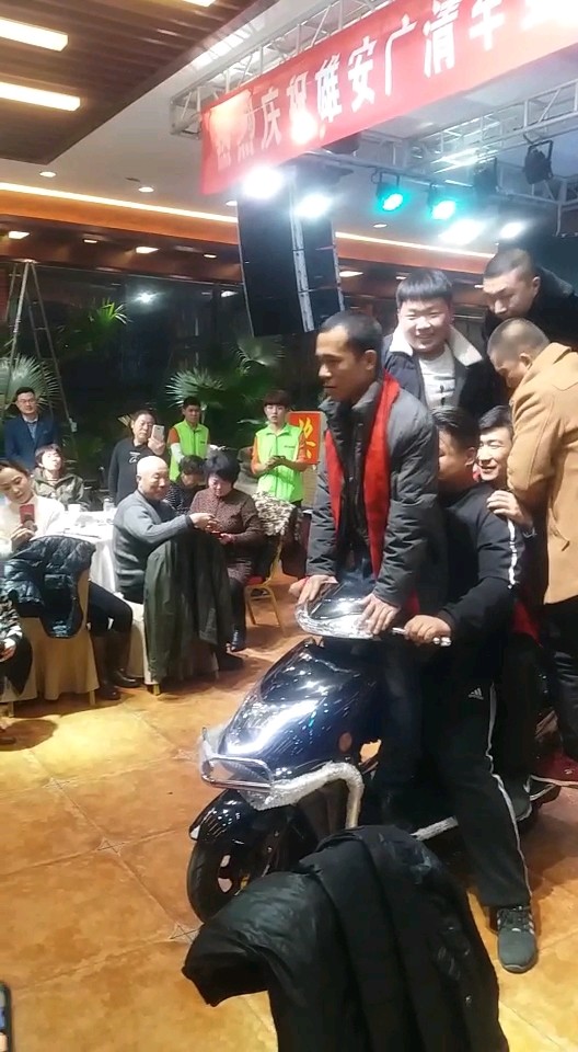 赛鸽豪华款战越质量就是牛！