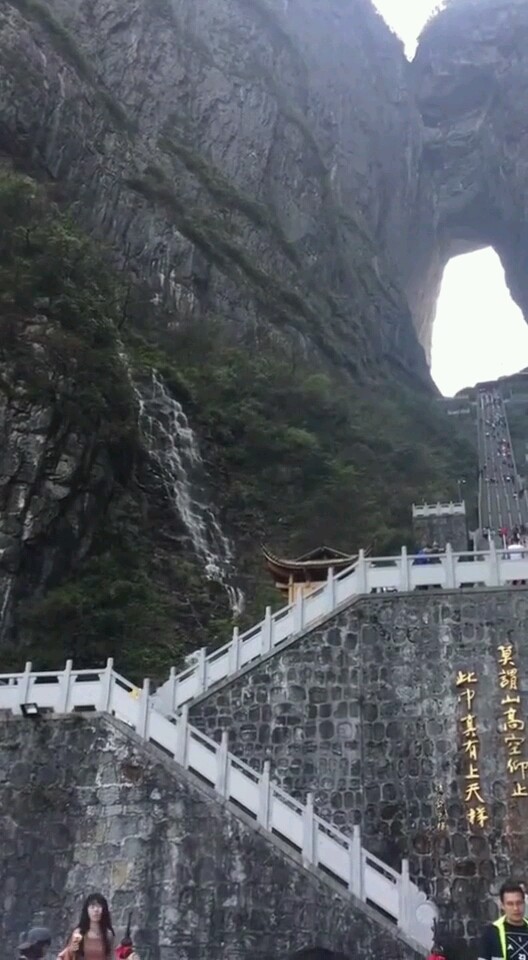 森林美景