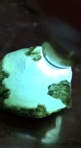 小灯笼，性价比杠杠的