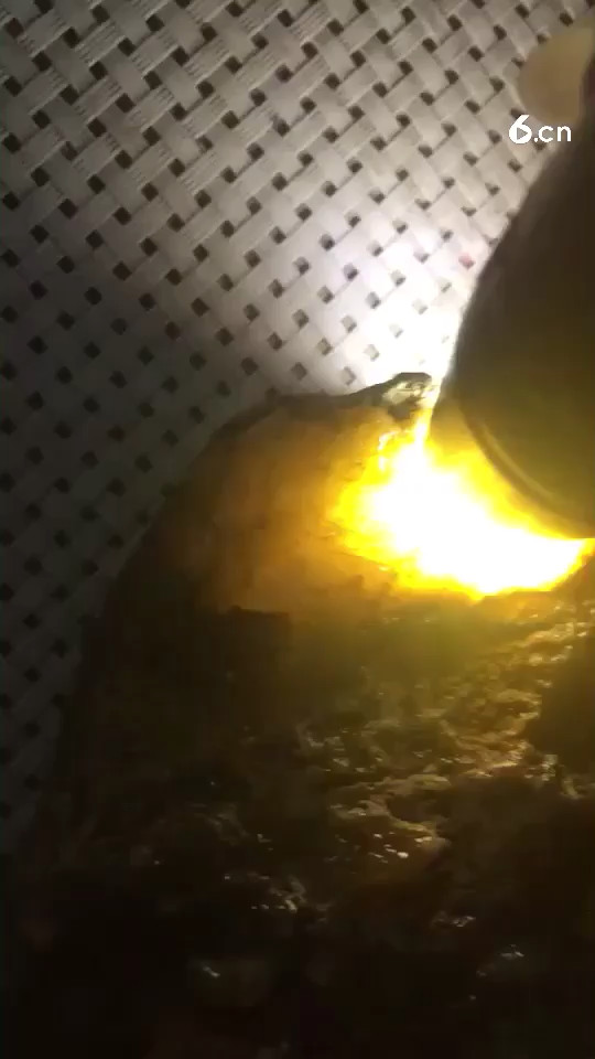 玉随有缘人