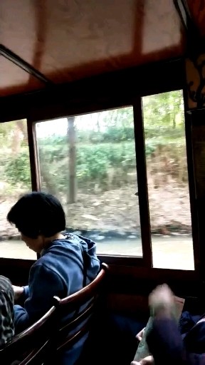 西溪湿地