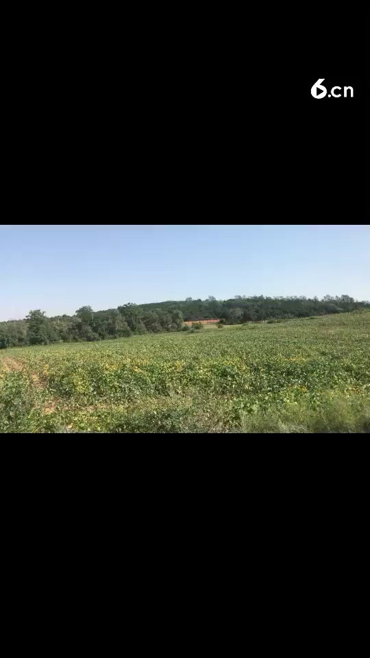 昨天法库县