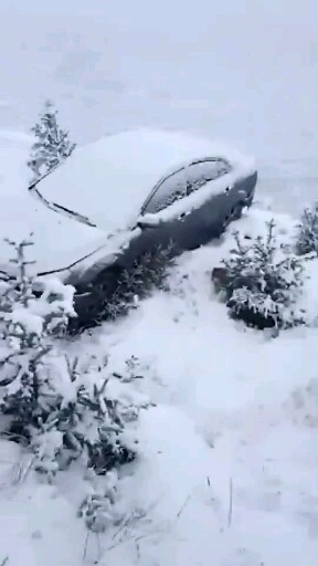 下雪天司机朋友们稳驾慢行。