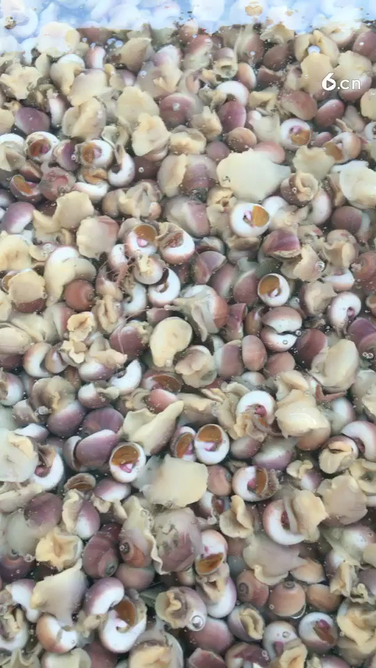 品种齐全，欢迎选购