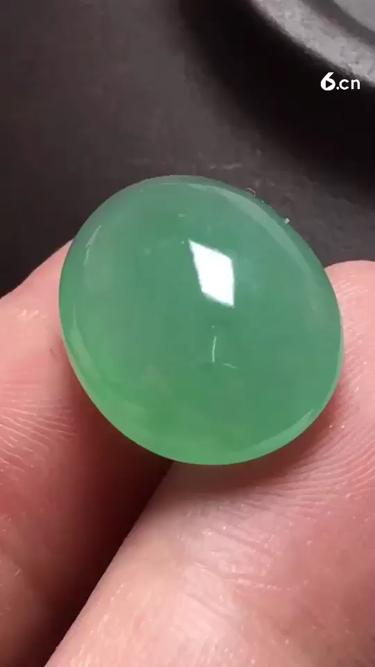 阳绿福豆，种老起