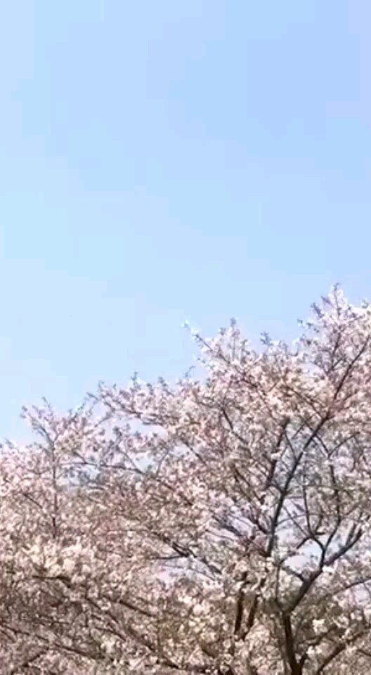 ……