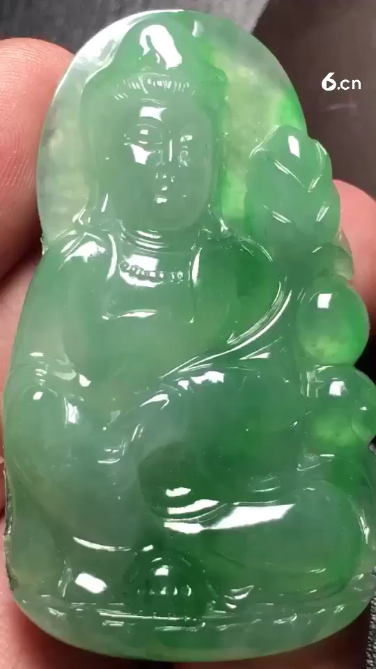 a✨SN7828阳绿观音，种老